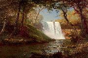 Minnehaha Falls Albert Bierstadt